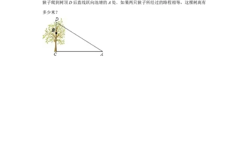 （挑战压轴）专题1.4方程思想在勾股定理中的应用-2022-2023学年八年级数学上册《同步考点解读&bull;专题训练》（北师大版）_北师大初中数学_8上-北师大版初中数学_旧版_06专项讲练