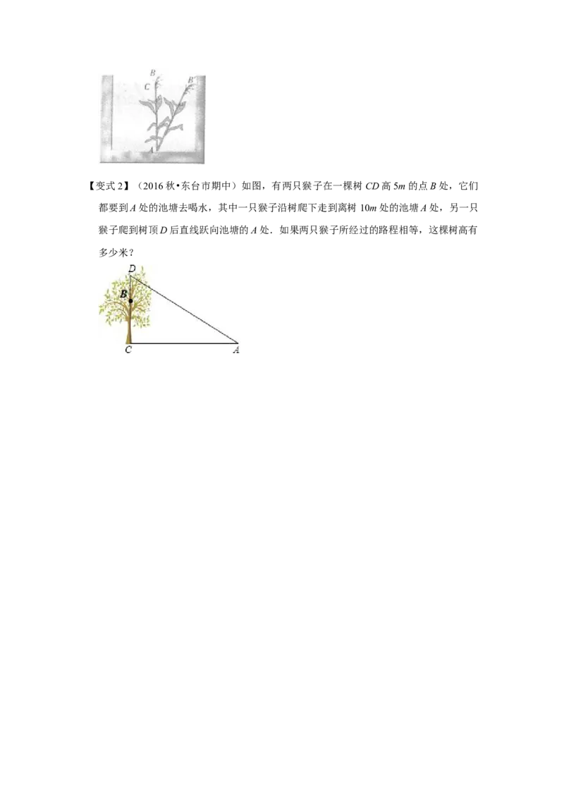 （挑战压轴）专题1.4方程思想在勾股定理中的应用-2022-2023学年八年级数学上册《同步考点解读&bull;专题训练》（北师大版）_北师大初中数学_8上-北师大版初中数学_旧版_06专项讲练