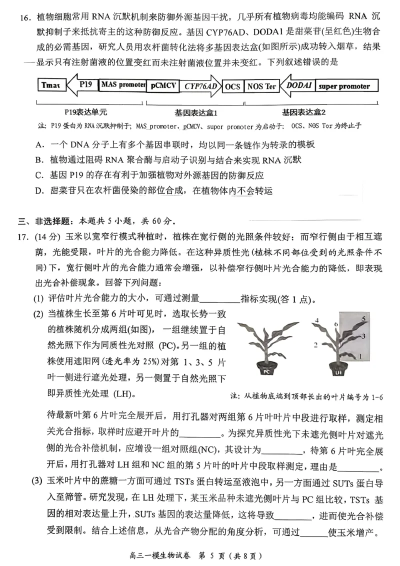 岳阳市2026届高三年级教学质量监测（一）生物_全国高考模拟卷_2026年2月_260210湖南省岳阳市2026届高三年级教学质量监测（一）（全科）