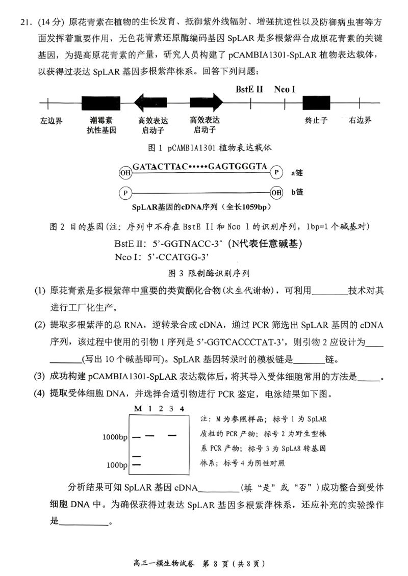 岳阳市2026届高三年级教学质量监测（一）生物_全国高考模拟卷_2026年2月_260210湖南省岳阳市2026届高三年级教学质量监测（一）（全科）