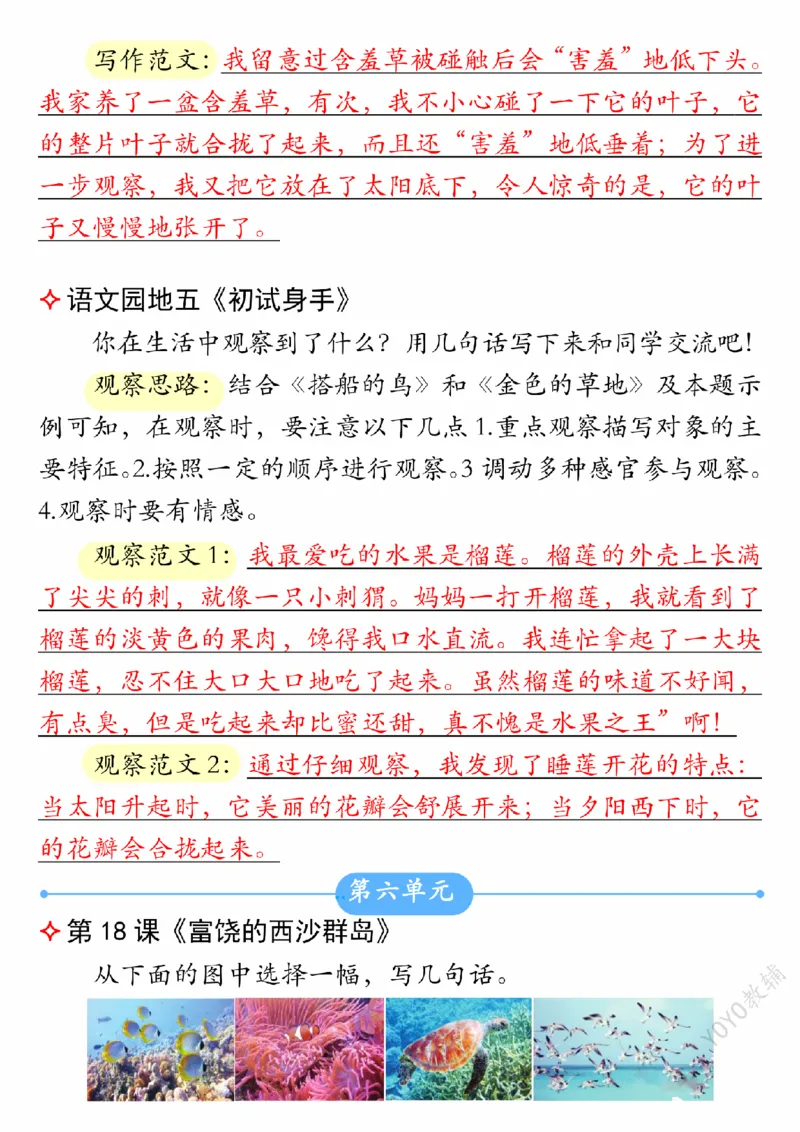 9-19三上语文课后小练笔（2）(1)_小学1-6年级常用的上册资源汇总_三年级上册资料(1)