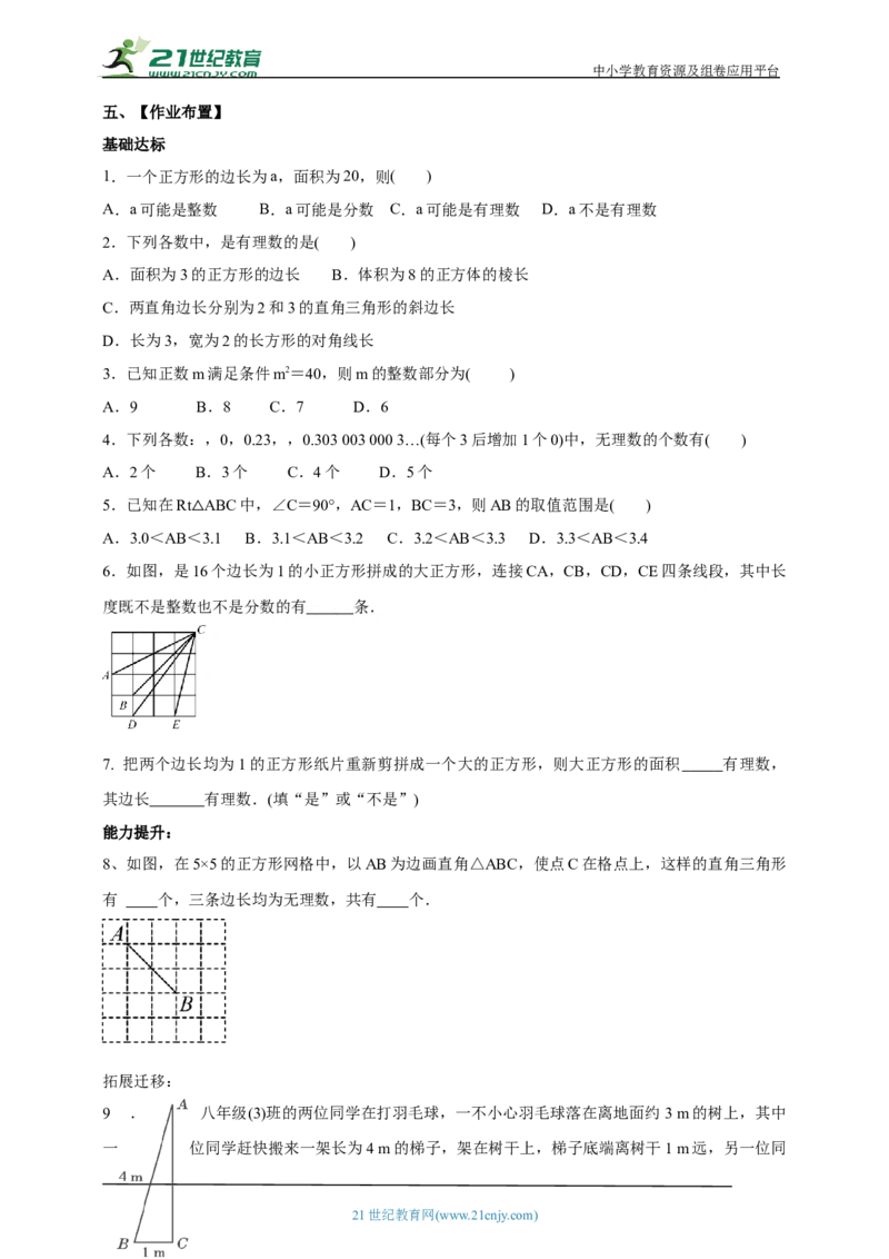 精1北师大版（2024）八年级数学上册第二章《实数》2.1认识实数（1）导学案_北师大初中数学_8上-北师大版初中数学_初中数学北师大8上-2025秋季新版_第二套推荐25