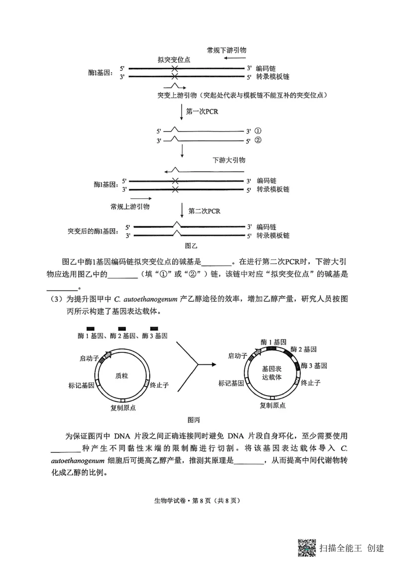 生物试卷（G3）+昆明市市统考2026届_全国高考模拟卷_2026年2月_260205云南省昆明市2026届高三摸底诊断测试（全科）_云南省昆明市2026届高三摸底诊断测试生物