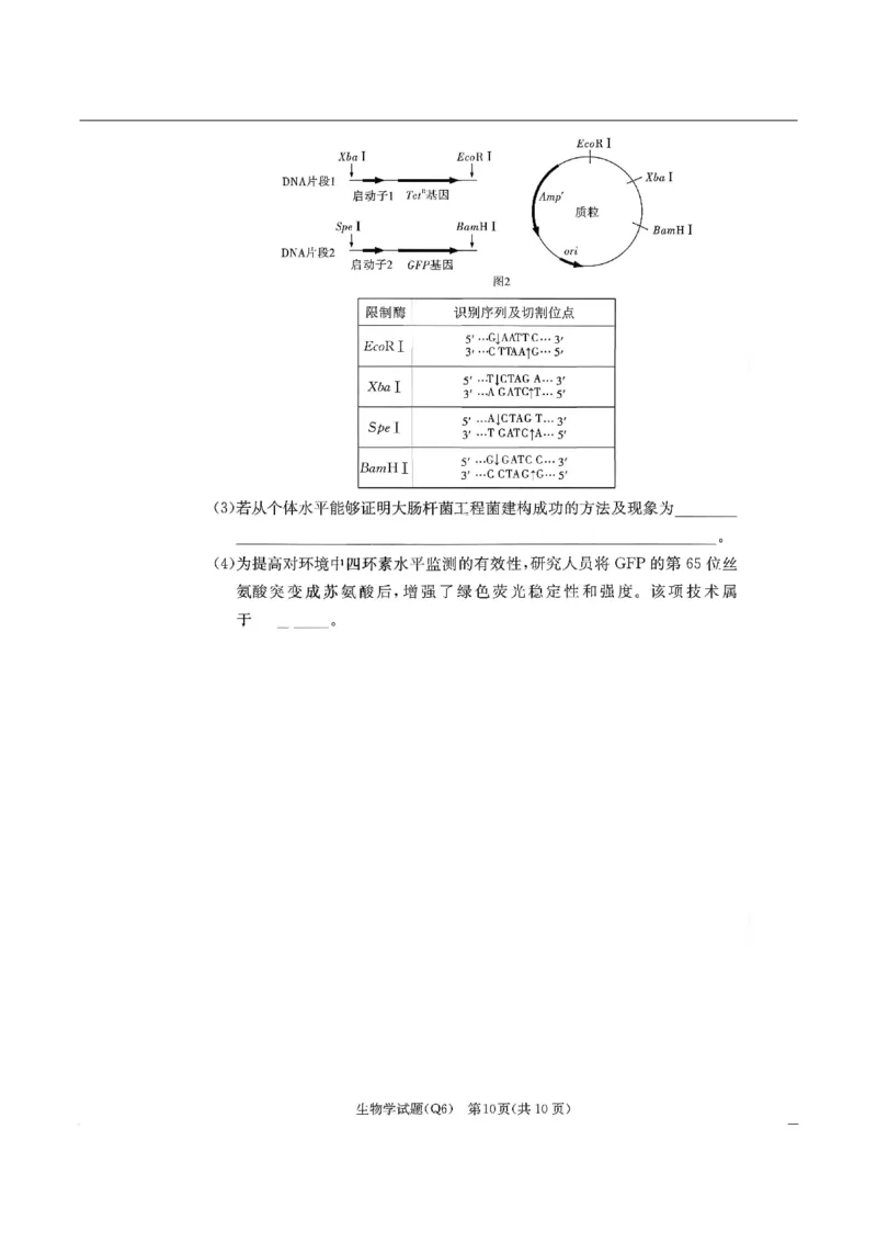 湖南省长沙市第一中学2025-2026学年高三上学期2月期末生物试题（含答案）_全国高考模拟卷_2026年2月_260211湖南省长沙市第一中学2025-2026学年高三上学期2月期末（全科）