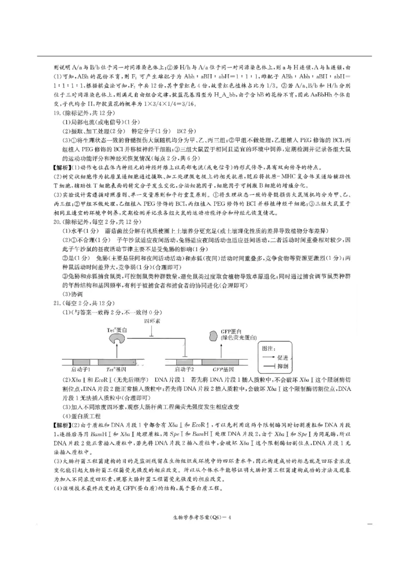 湖南省长沙市第一中学2025-2026学年高三上学期2月期末生物试题（含答案）_全国高考模拟卷_2026年2月_260211湖南省长沙市第一中学2025-2026学年高三上学期2月期末（全科）