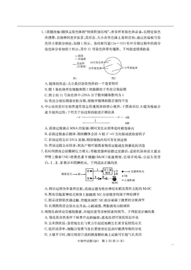 湖南省长沙市第一中学2025-2026学年高三上学期2月期末生物试题（含答案）_全国高考模拟卷_2026年2月_260211湖南省长沙市第一中学2025-2026学年高三上学期2月期末（全科）