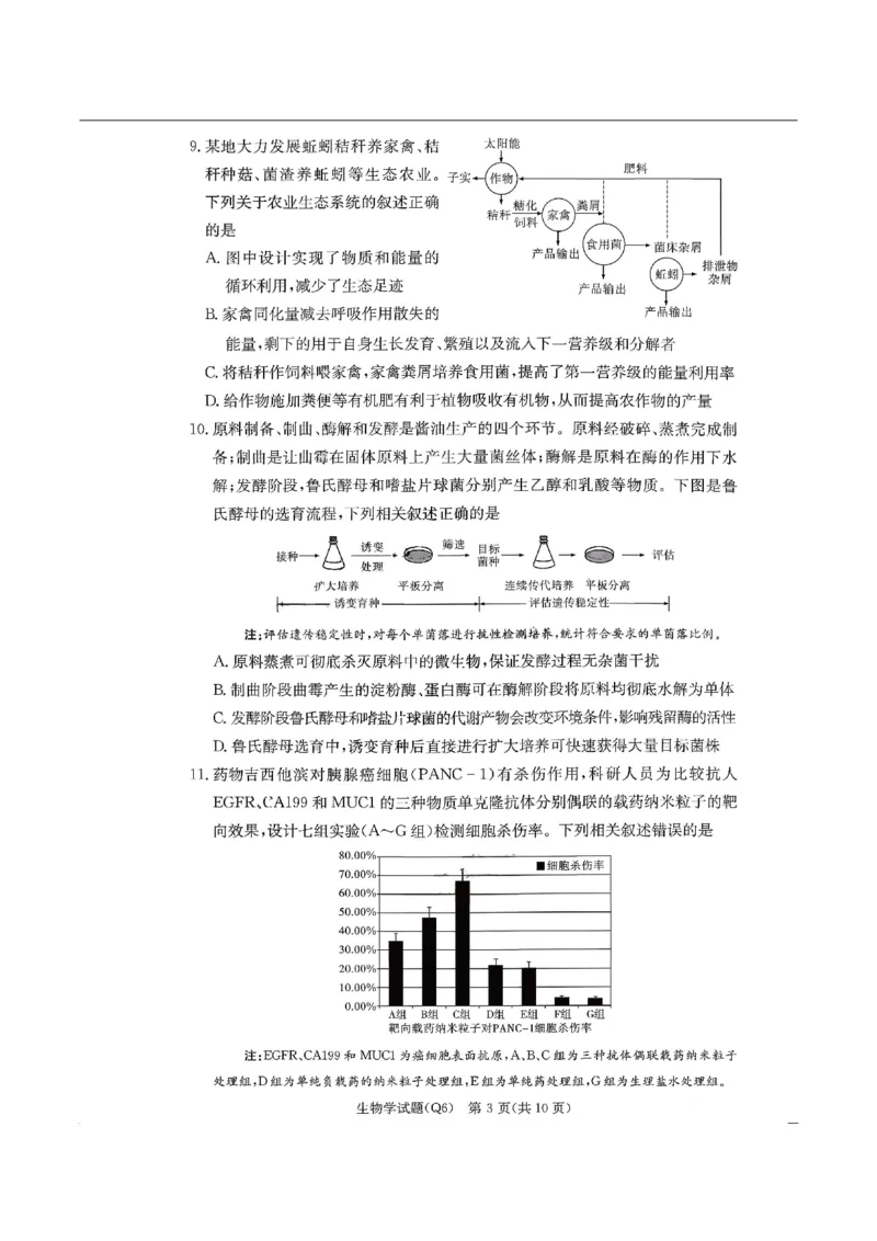 湖南省长沙市第一中学2025-2026学年高三上学期2月期末生物试题（含答案）_全国高考模拟卷_2026年2月_260211湖南省长沙市第一中学2025-2026学年高三上学期2月期末（全科）