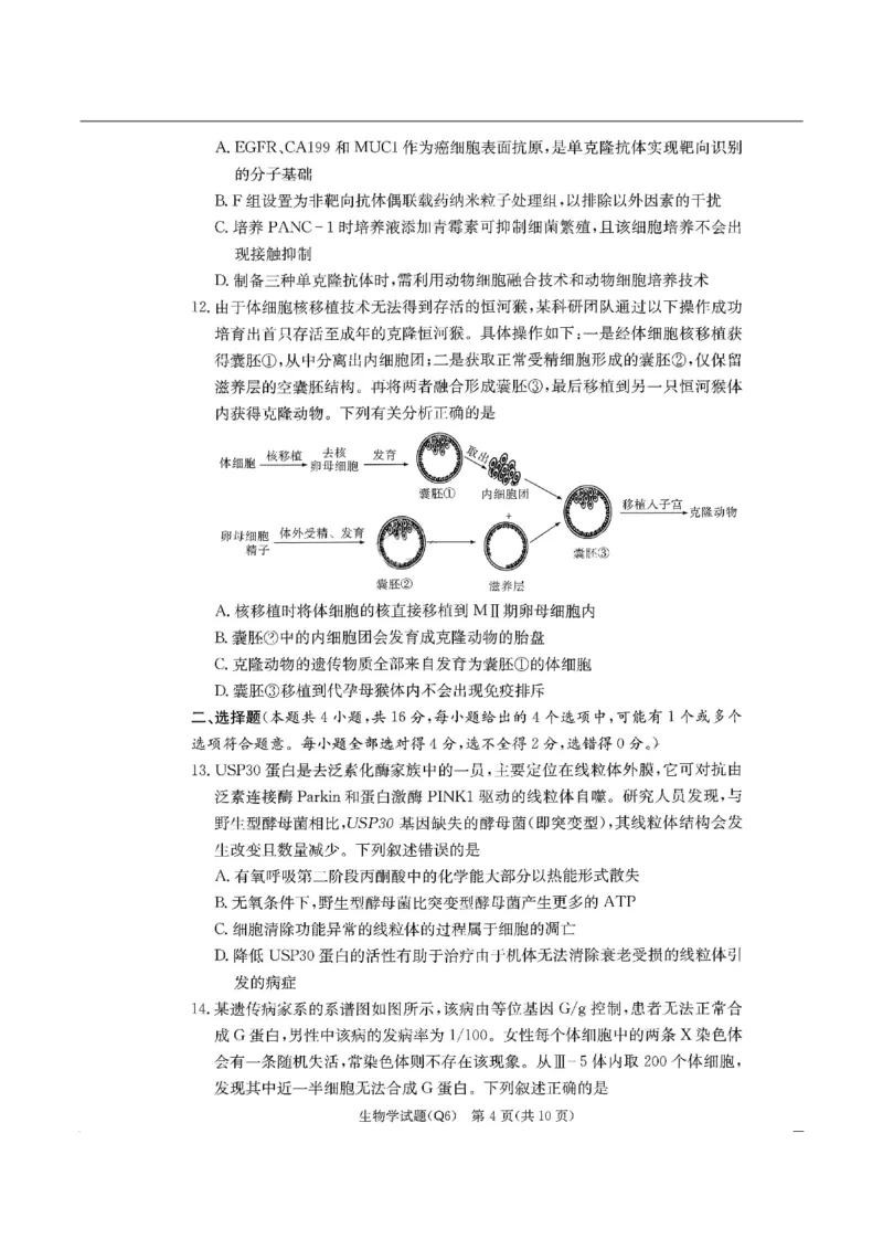 湖南省长沙市第一中学2025-2026学年高三上学期2月期末生物试题（含答案）_全国高考模拟卷_2026年2月_260211湖南省长沙市第一中学2025-2026学年高三上学期2月期末（全科）
