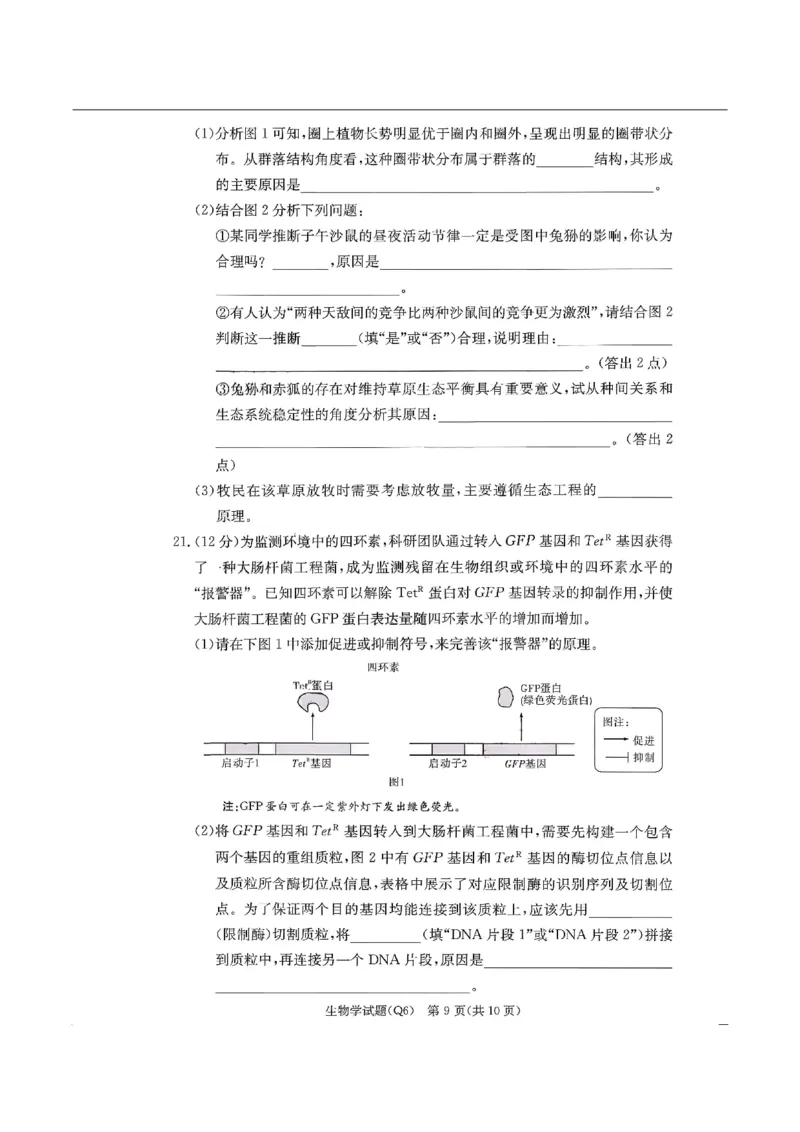 湖南省长沙市第一中学2025-2026学年高三上学期2月期末生物试题（含答案）_全国高考模拟卷_2026年2月_260211湖南省长沙市第一中学2025-2026学年高三上学期2月期末（全科）