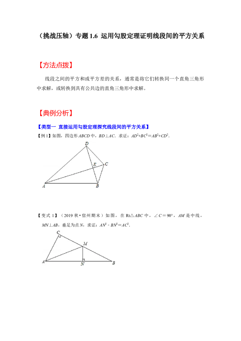 （挑战压轴）专题1.6运用勾股定理证明线段间的平方关系-2022-2023学年八年级数学上册《同步考点解读&bull;专题训练》（北师大版）_北师大初中数学_8上-北师大版初中数学_旧版_06专项讲练