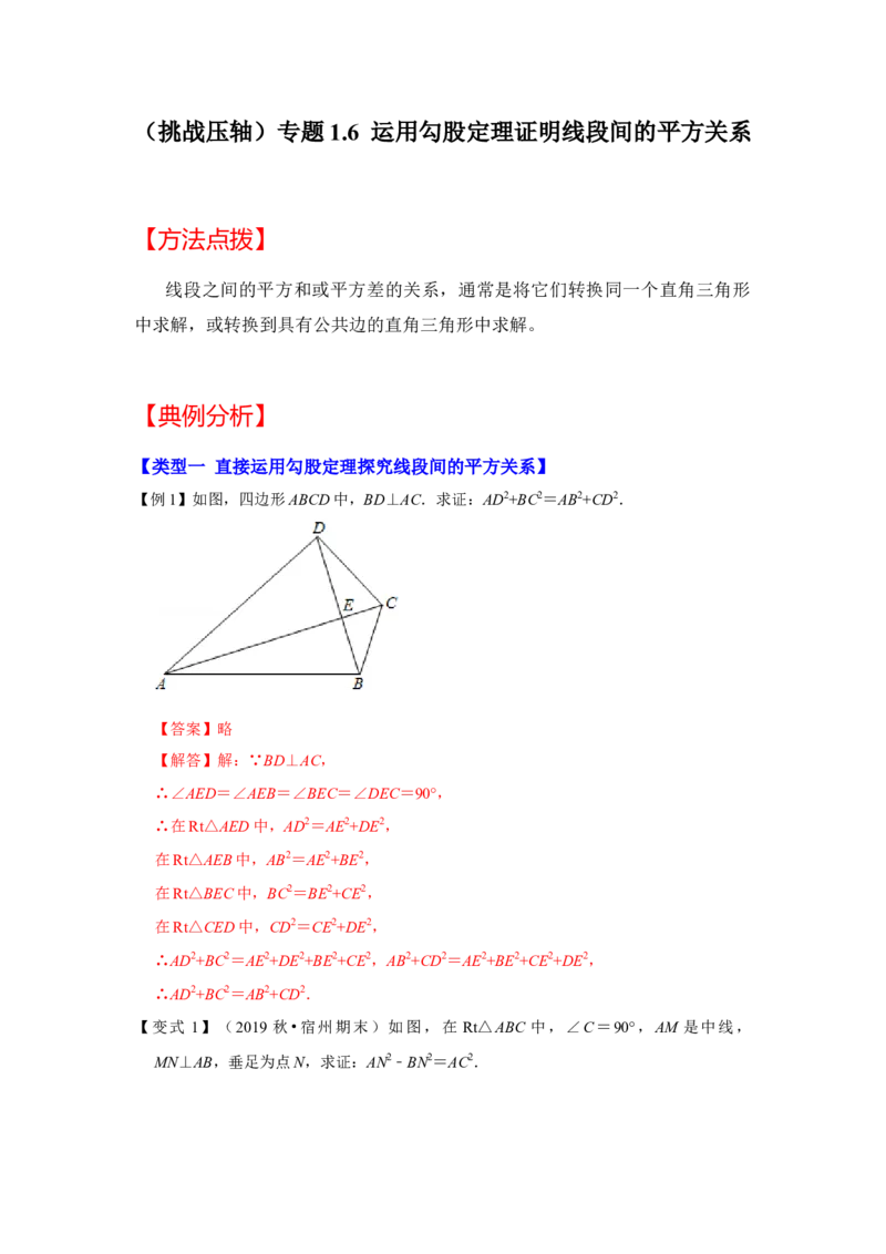 （挑战压轴）专题1.6运用勾股定理证明线段间的平方关系-2022-2023学年八年级数学上册《同步考点解读&bull;专题训练》（北师大版）_北师大初中数学_8上-北师大版初中数学_旧版_06专项讲练