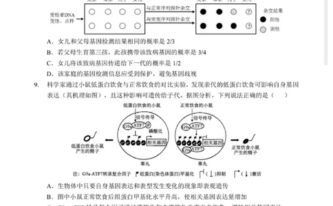 2026湖北部分重点中学高三第二次联考生物试卷及答案_全国高考模拟卷_2026年2月_260208湖北部分重点中学2025&mdash;2026学年高三上学期第二次联考（全科）