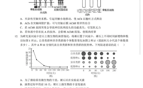2026湖北部分重点中学高三第二次联考生物试卷及答案_全国高考模拟卷_2026年2月_260208湖北部分重点中学2025&mdash;2026学年高三上学期第二次联考（全科）