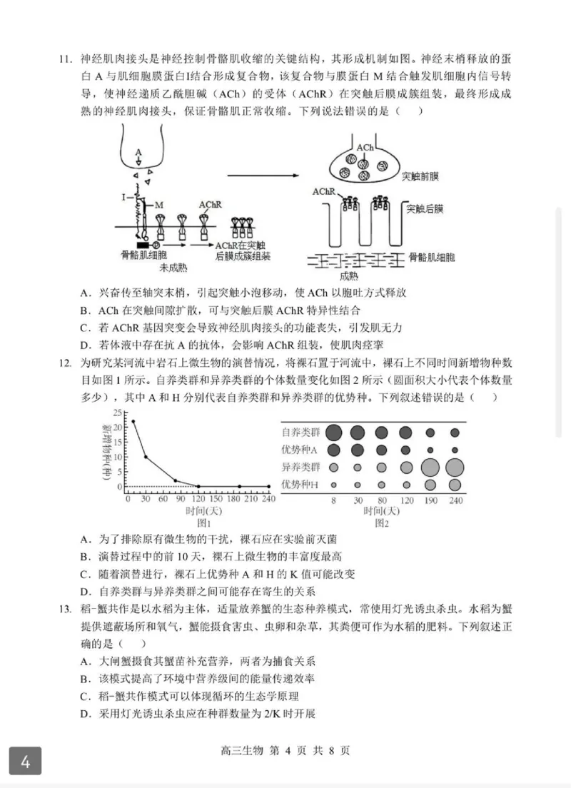 2026湖北部分重点中学高三第二次联考生物试卷及答案_全国高考模拟卷_2026年2月_260208湖北部分重点中学2025&mdash;2026学年高三上学期第二次联考（全科）