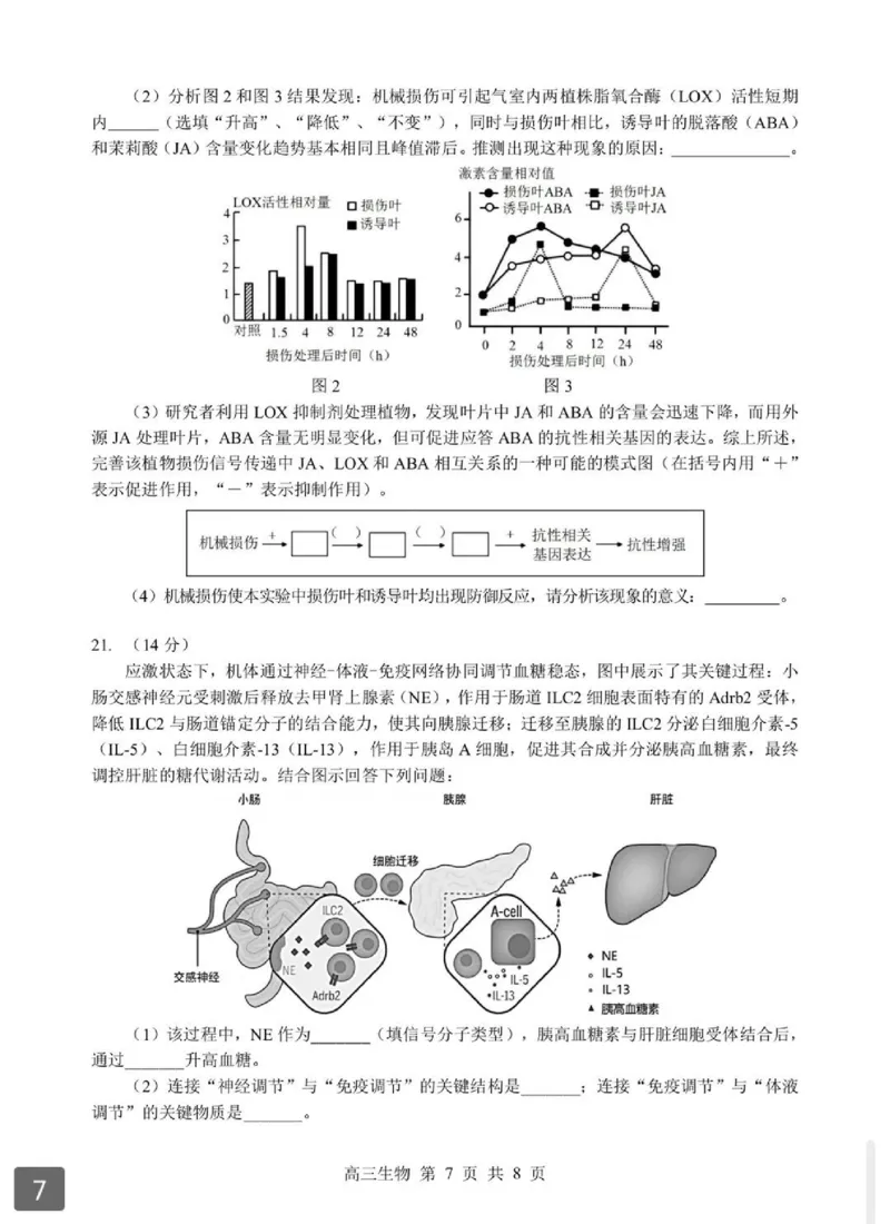 2026湖北部分重点中学高三第二次联考生物试卷及答案_全国高考模拟卷_2026年2月_260208湖北部分重点中学2025&mdash;2026学年高三上学期第二次联考（全科）