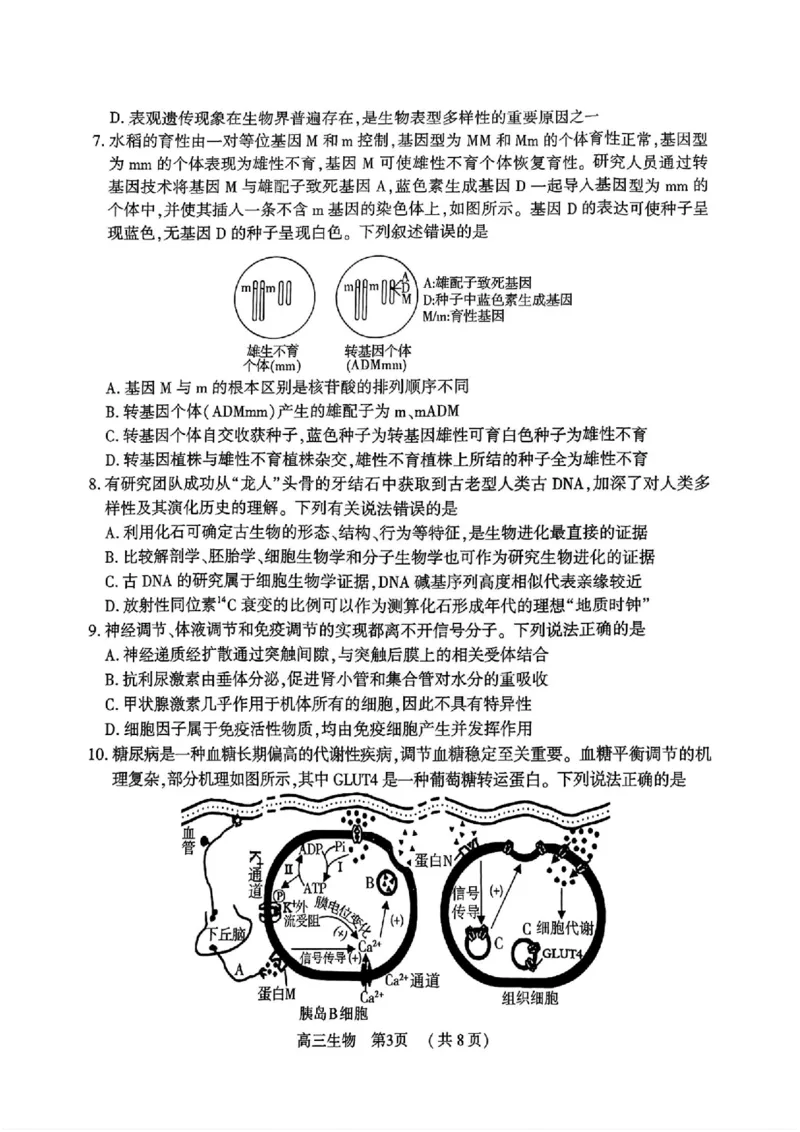 生物_全国高考模拟卷_2026年2月_260202河南省驻马店高三2025-2026学年度第一学期期末教学质量监测_驻马店2025-2026学年度第一学期期末教学质量监测高三生物