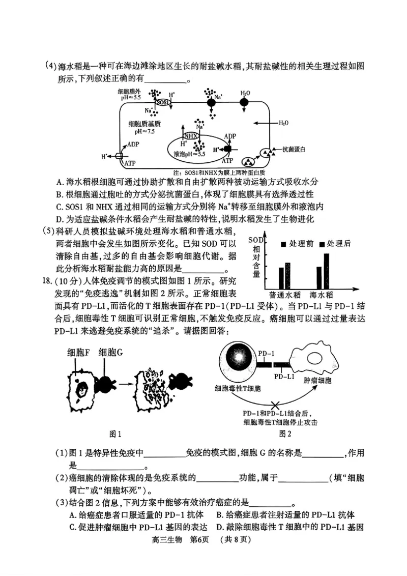 生物_全国高考模拟卷_2026年2月_260202河南省驻马店高三2025-2026学年度第一学期期末教学质量监测_驻马店2025-2026学年度第一学期期末教学质量监测高三生物