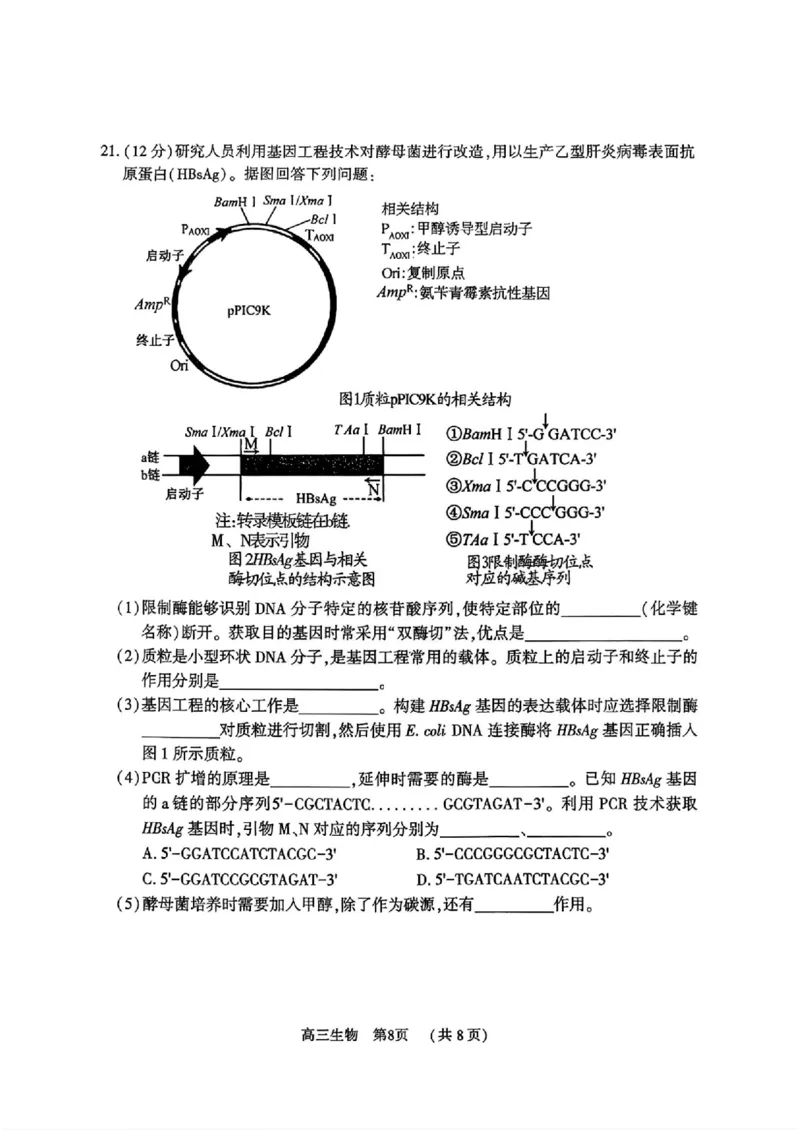 生物_全国高考模拟卷_2026年2月_260202河南省驻马店高三2025-2026学年度第一学期期末教学质量监测_驻马店2025-2026学年度第一学期期末教学质量监测高三生物