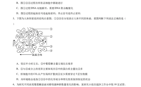 字节精准教育联盟2025-2026学年高三上学期1月期末生物试卷（含答案）_全国高考模拟卷_2026年2月_260205四川省字节精准教育联盟2026届高三上学期1月期末综合能力调查