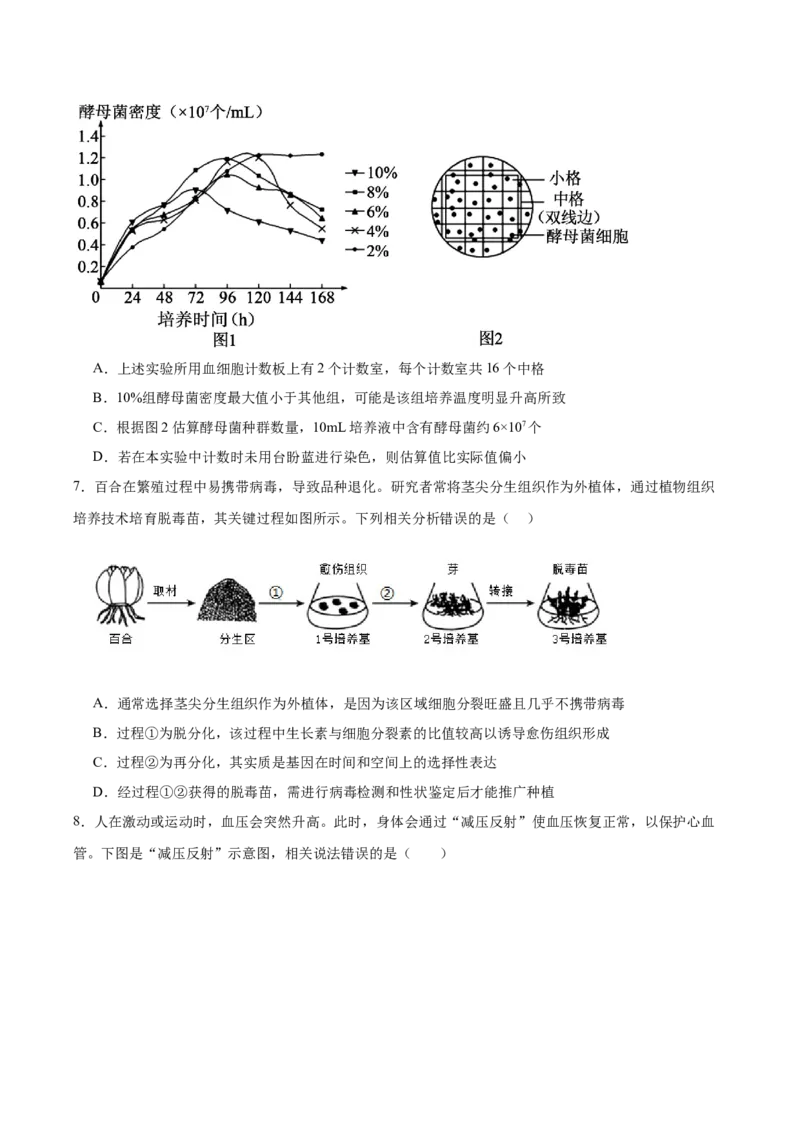 字节精准教育联盟2025-2026学年高三上学期1月期末生物试卷（含答案）_全国高考模拟卷_2026年2月_260205四川省字节精准教育联盟2026届高三上学期1月期末综合能力调查