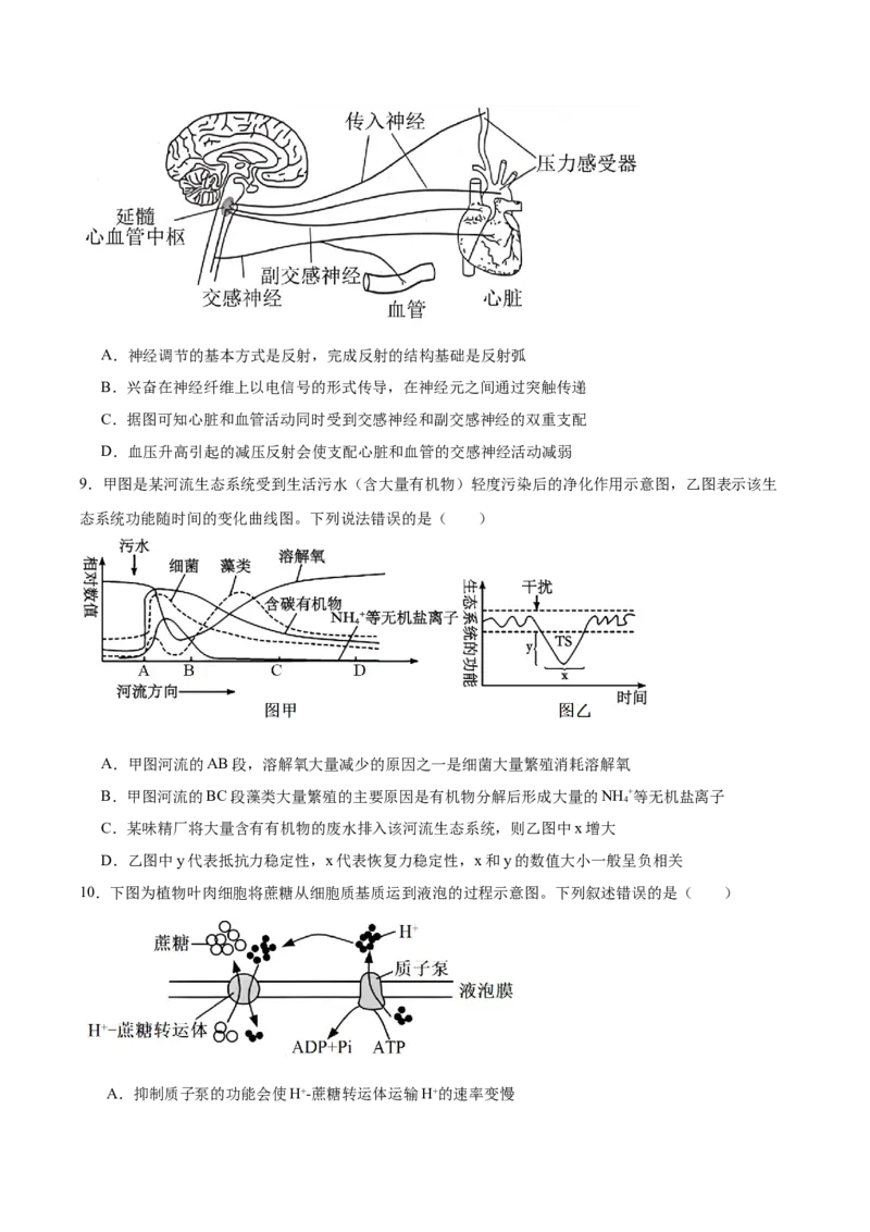 字节精准教育联盟2025-2026学年高三上学期1月期末生物试卷（含答案）_全国高考模拟卷_2026年2月_260205四川省字节精准教育联盟2026届高三上学期1月期末综合能力调查
