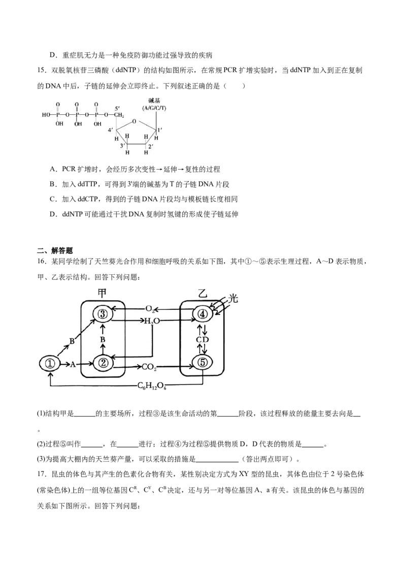 字节精准教育联盟2025-2026学年高三上学期1月期末生物试卷（含答案）_全国高考模拟卷_2026年2月_260205四川省字节精准教育联盟2026届高三上学期1月期末综合能力调查