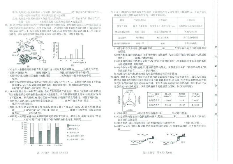 太原25-26学年高三第一学期期末生物试卷_全国高考模拟卷_2026年2月_260205山西省太原市2025-2026学年第一学期高三年级期末学业诊断