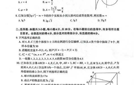 数学试题卷_全国高考模拟卷_2026年2月_260204山东省泰安市2026届高三一轮检测（泰安一模）（全科）_山东省泰安市高三一轮检测（泰安一模）数学