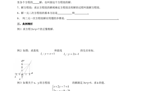 精11北师大版八年级数学上册第五章《二元一次方程组》回顾与思考导学案_北师大初中数学_8上-北师大版初中数学_初中数学北师大8上-2025秋季新版_第二套推荐25