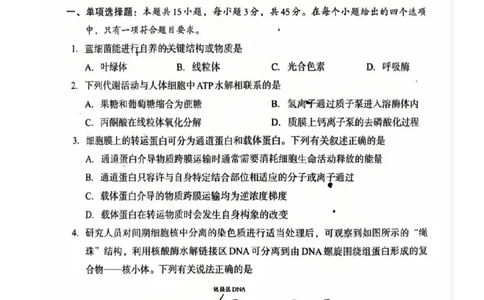 巴中市普通高中2023级&ldquo;一诊&rdquo;考试生物_全国高考模拟卷_2026年2月_260202四川省巴中市普通高中2023级&ldquo;一诊&rdquo;考试（巴中一诊）（全科）
