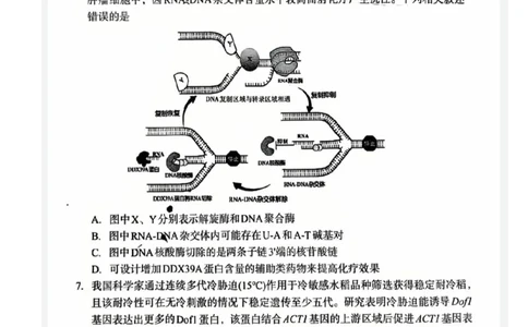 巴中市普通高中2023级&ldquo;一诊&rdquo;考试生物_全国高考模拟卷_2026年2月_260202四川省巴中市普通高中2023级&ldquo;一诊&rdquo;考试（巴中一诊）（全科）