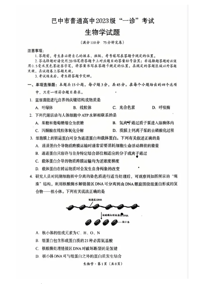 巴中市普通高中2023级&ldquo;一诊&rdquo;考试生物_全国高考模拟卷_2026年2月_260202四川省巴中市普通高中2023级&ldquo;一诊&rdquo;考试（巴中一诊）（全科）