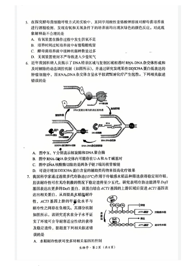 巴中市普通高中2023级&ldquo;一诊&rdquo;考试生物_全国高考模拟卷_2026年2月_260202四川省巴中市普通高中2023级&ldquo;一诊&rdquo;考试（巴中一诊）（全科）