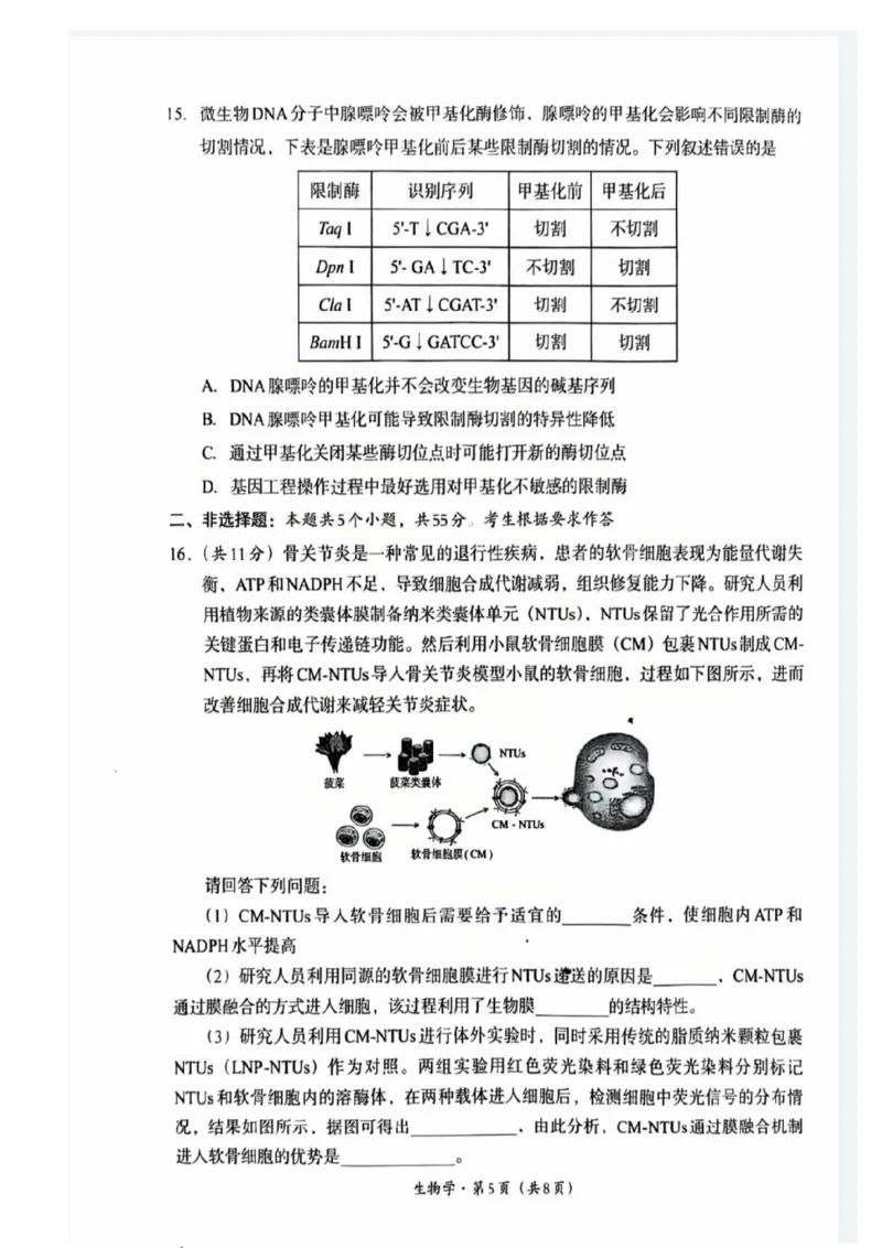 巴中市普通高中2023级&ldquo;一诊&rdquo;考试生物_全国高考模拟卷_2026年2月_260202四川省巴中市普通高中2023级&ldquo;一诊&rdquo;考试（巴中一诊）（全科）