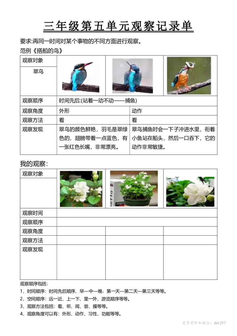 三年级第五单元观察记录单_小学1-6年级常用的上册资源汇总_三年级上册资料(1)