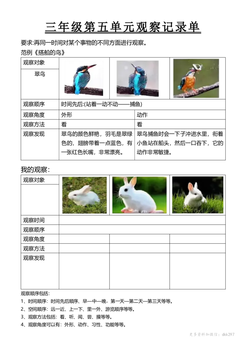 三年级第五单元观察记录单_小学1-6年级常用的上册资源汇总_三年级上册资料(1)