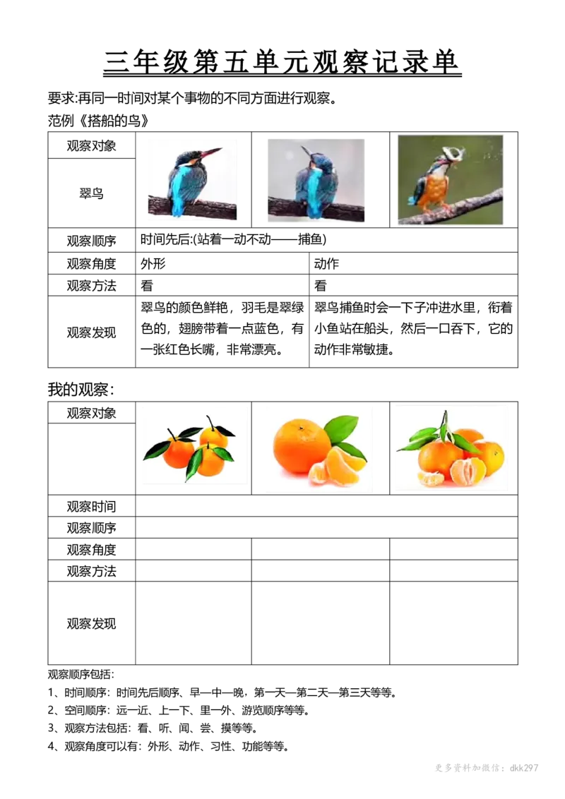 三年级第五单元观察记录单_小学1-6年级常用的上册资源汇总_三年级上册资料(1)
