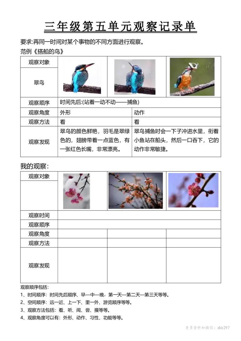 三年级第五单元观察记录单_小学1-6年级常用的上册资源汇总_三年级上册资料(1)