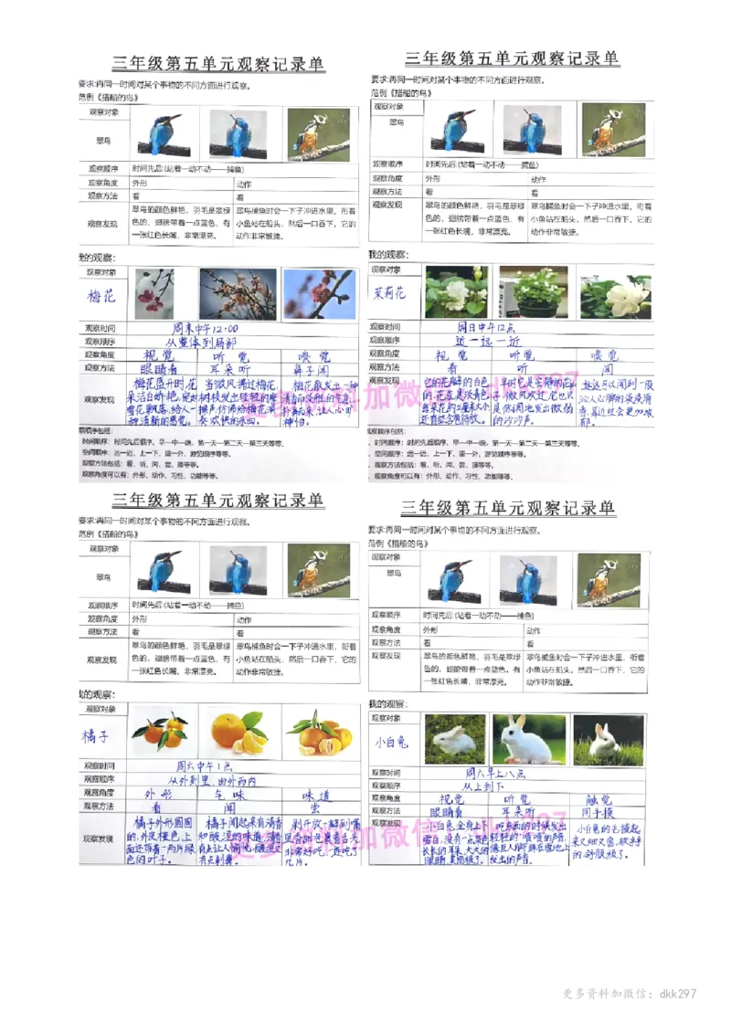 三年级第五单元观察记录单_小学1-6年级常用的上册资源汇总_三年级上册资料(1)