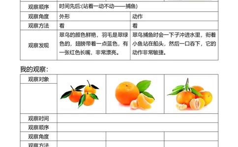三年级第五单元观察记录单_小学1-6年级常用的上册资源汇总_三年级上册资料(1)