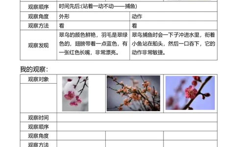 三年级第五单元观察记录单_小学1-6年级常用的上册资源汇总_三年级上册资料(1)