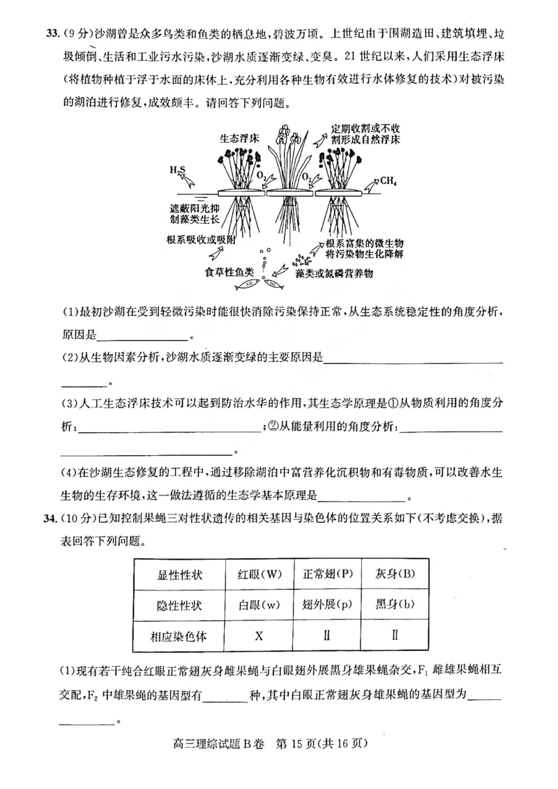 理综试题B卷_05高考化学_高考模拟题_全国课标版_2023年1月山西省高三年级适应性调研测试理综B卷_2023年1月山西省高三年级适应性调研测试理综B卷
