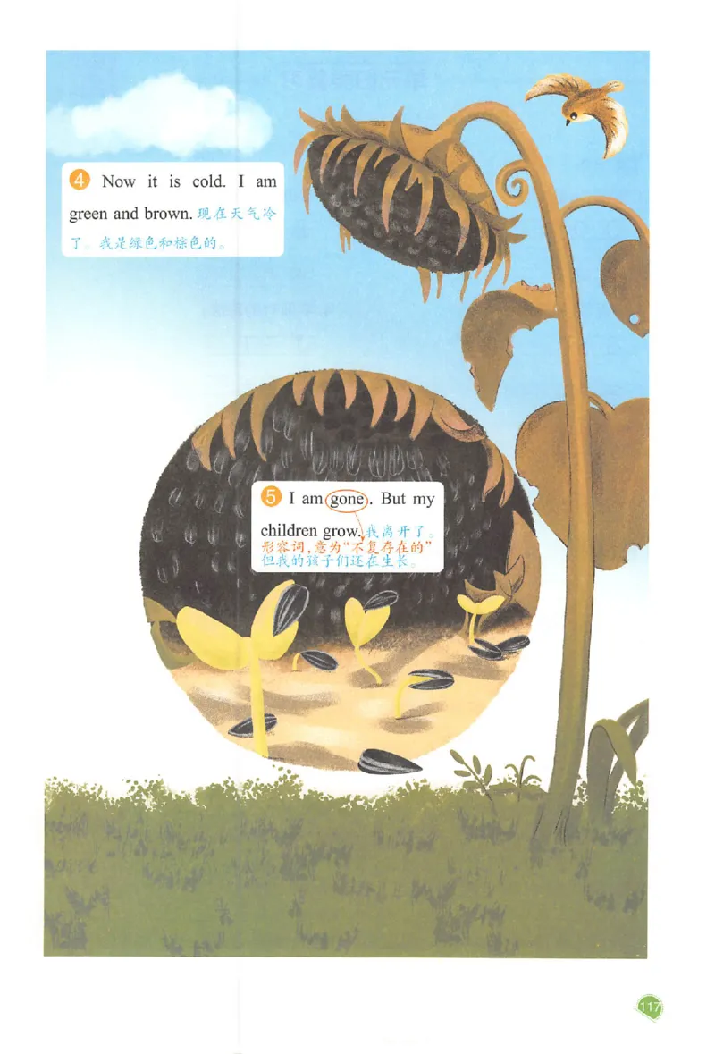 三年级英语人教PEP版上册25秋《一本课本预习笔记》_语数英1-6年级《一本课本预习笔记》_英语人教PEP版上册_三年级英语人教PEP版上册25秋《一本课本预习笔记》(3)