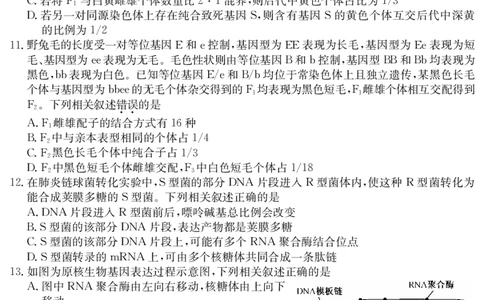 生物_07高考历史_历史高考模拟题_旧高考_2023年_2023届安徽省耀正优高三12月阶段检测生物_2023届安徽省耀正优高三12月阶段检测生物