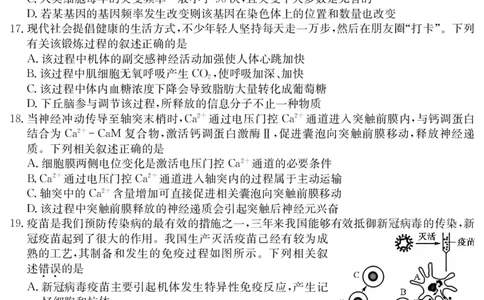 生物_07高考历史_历史高考模拟题_旧高考_2023年_2023届安徽省耀正优高三12月阶段检测生物_2023届安徽省耀正优高三12月阶段检测生物