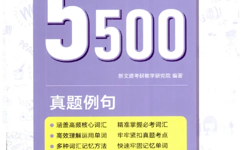 26考研英语大纲词汇5500真题例句-新文道_27考研真题_考研英语一、二真题+解析（1994-2026）_考研英语大纲词汇