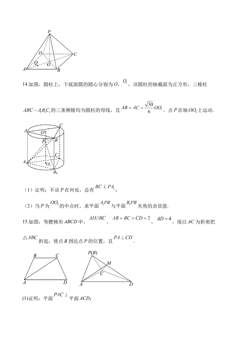 空间向量与立体几何&mdash;&mdash;2025届高考数学二轮复习易错重难提升新高考版（含解析）_02高考数学_2025年新高考资料_二轮复习