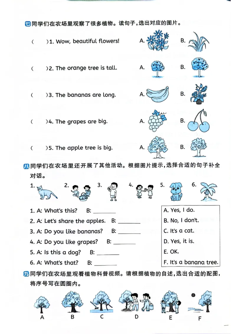 三年级上册2025秋季新版阳光同学提优训练试卷_小学教辅2026新版+暑假衔接_25秋《阳光同学课时提优训练》英语人教版3-6年级_三年级