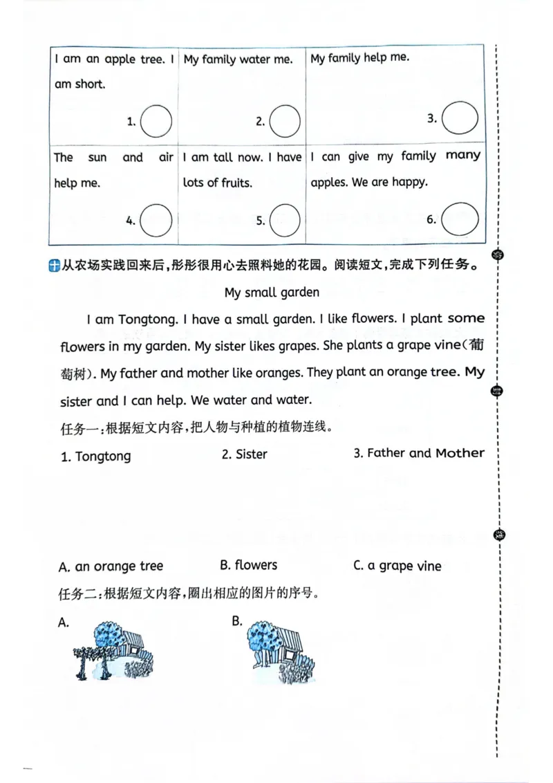 三年级上册2025秋季新版阳光同学提优训练试卷_小学教辅2026新版+暑假衔接_25秋《阳光同学课时提优训练》英语人教版3-6年级_三年级