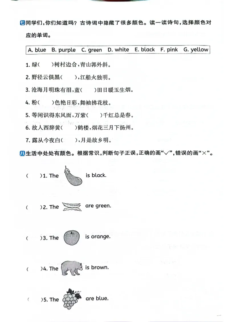 三年级上册2025秋季新版阳光同学提优训练试卷_小学教辅2026新版+暑假衔接_25秋《阳光同学课时提优训练》英语人教版3-6年级_三年级